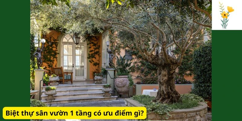 Biệt thự sân vườn 1 tầng có ưu điểm gì?