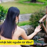 Thiết kế vườn nhật bắt nguồn từ đâu?