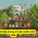 Gợi ý 10 mẫu trang trí sân vườn nhỏ đẹp