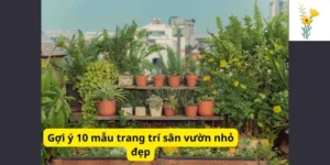 Gợi ý 10 mẫu trang trí sân vườn nhỏ đẹp